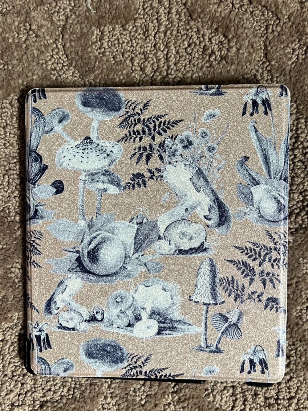 Page the Shop "Cottage Core" Kindle Oasis Case (9th/10th Gen) — Like Ne